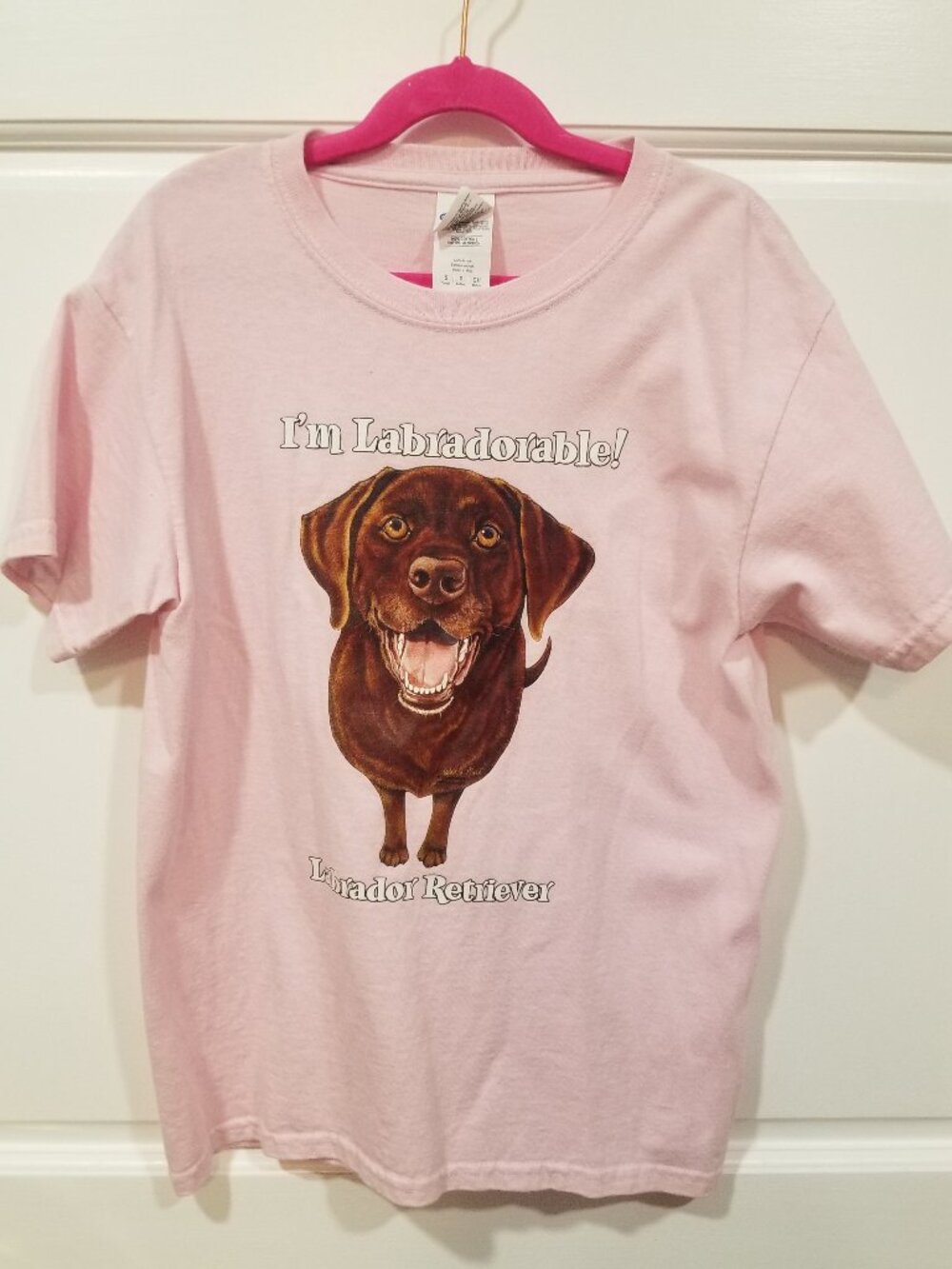 Girls' Labrador Retriever Tee Shirt, Size S, EUC - LIKE NEW